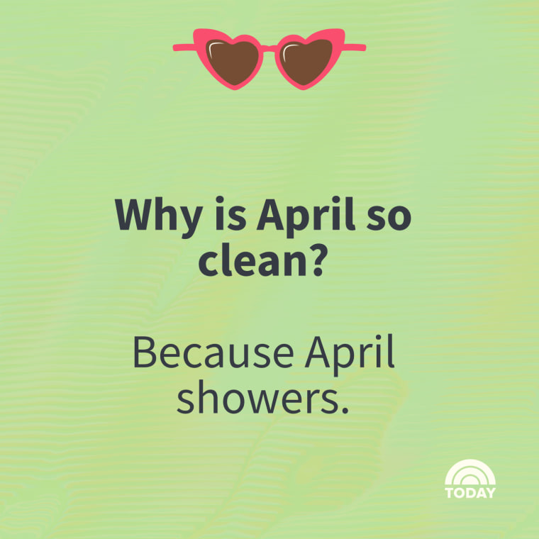 Spring Jokes