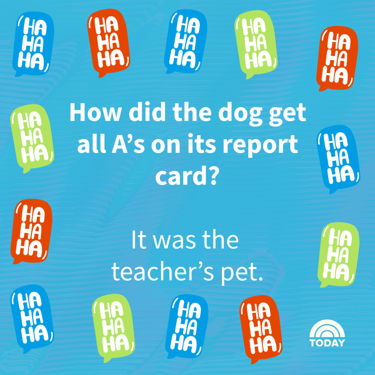 Teacher Jokes
