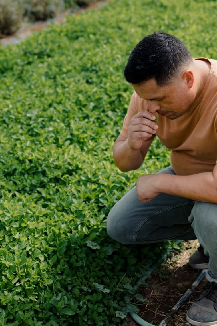 Alamilla visits a farm that supplies Amano.