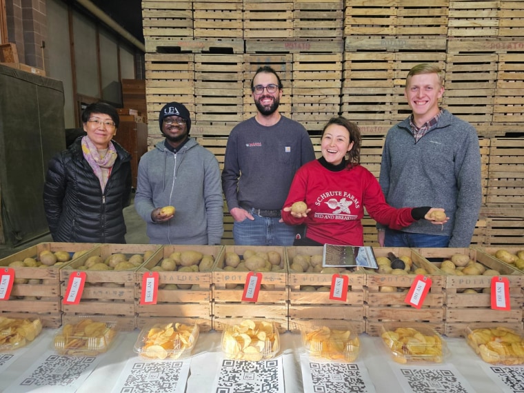 Di Tomasi, studying the fungal disease that led to famine in Irish potatoes.