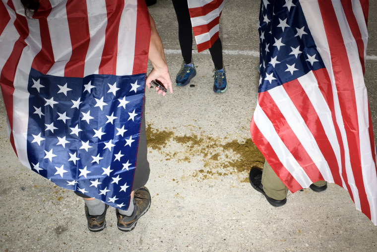 Image: Protesters wearing American flags walk around horse droppings.