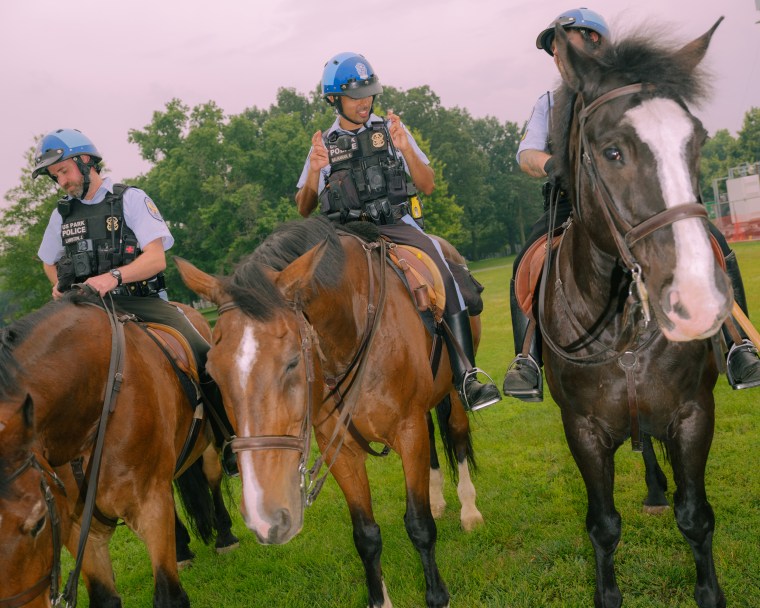 Park Police atop horses.