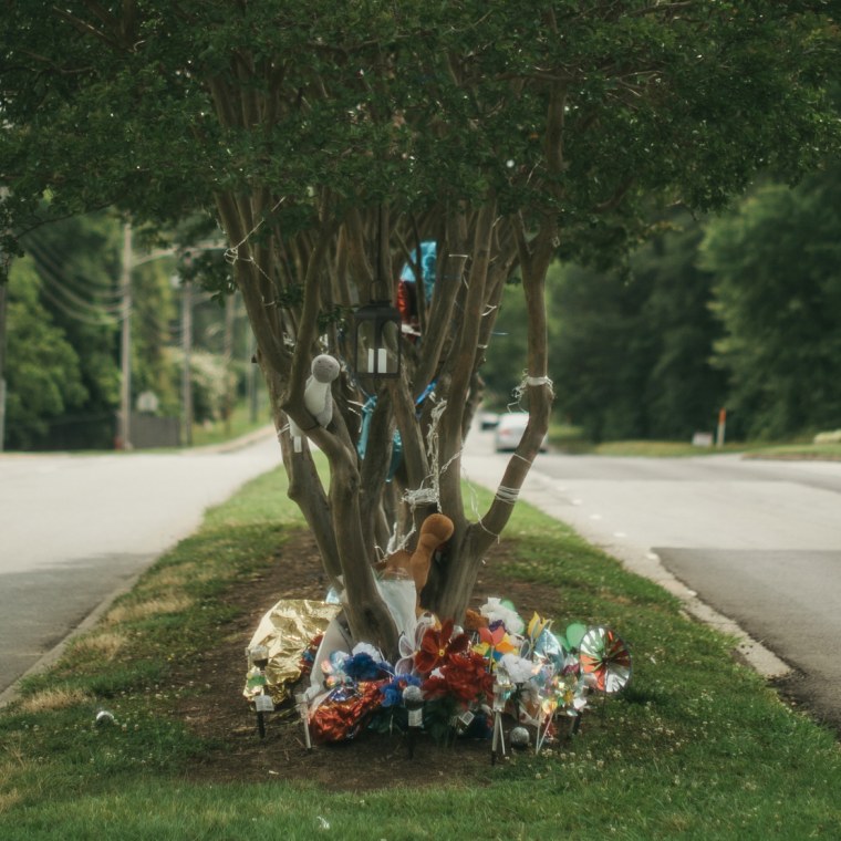 https://media-cldnry.s-nbcnews.com/image/upload/rockcms/2025-06/250618-1x1-Gastonia-Jenkins-memorial-ew-300p-f3fe32.jpg