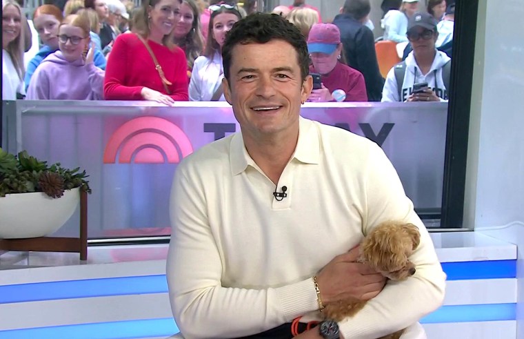 Orlando Bloom's dog Biggie Smalls