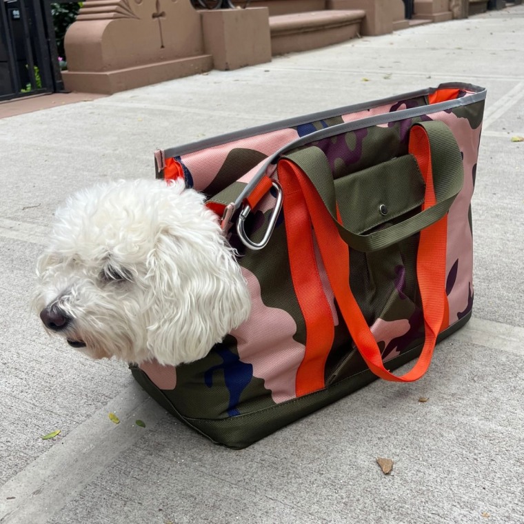 White dog inside camo carrier on sidewalk