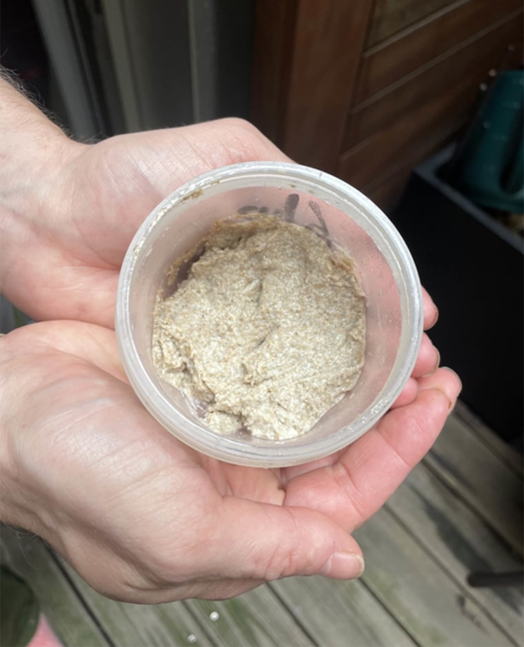 Sourdough Starter