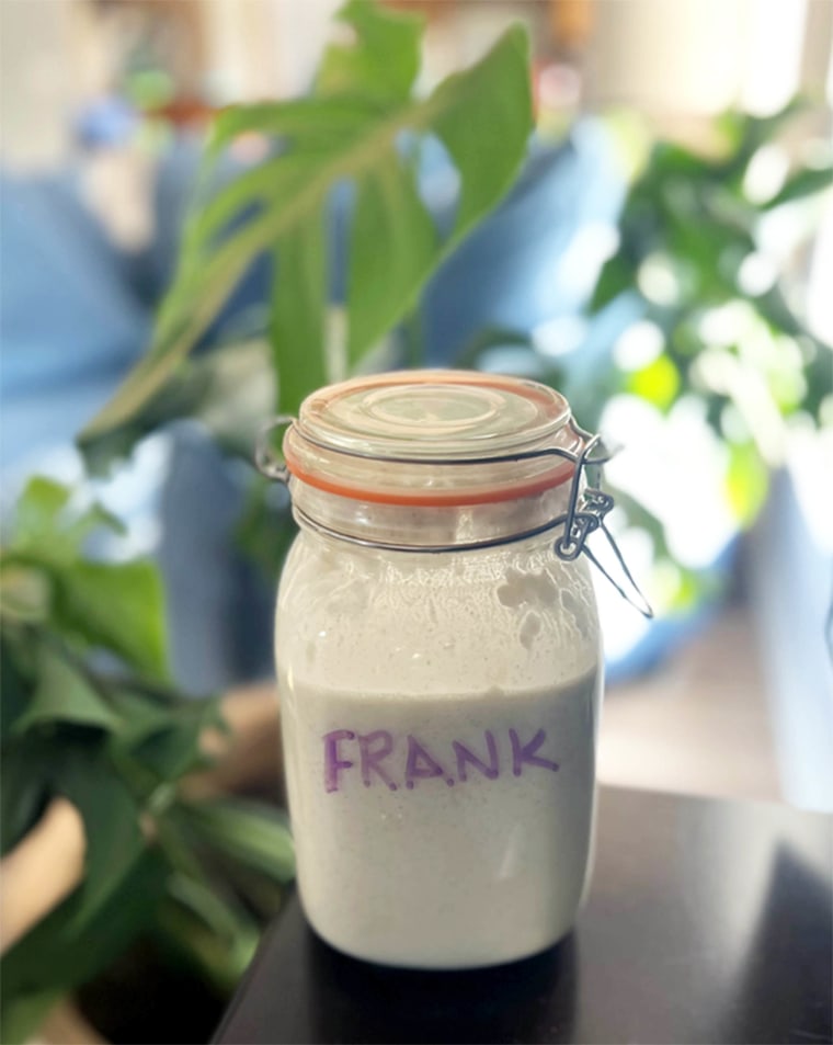 Sourdough Starter