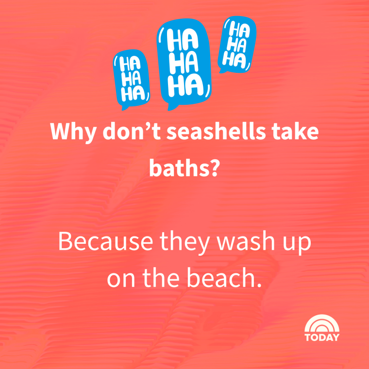 Summer Jokes