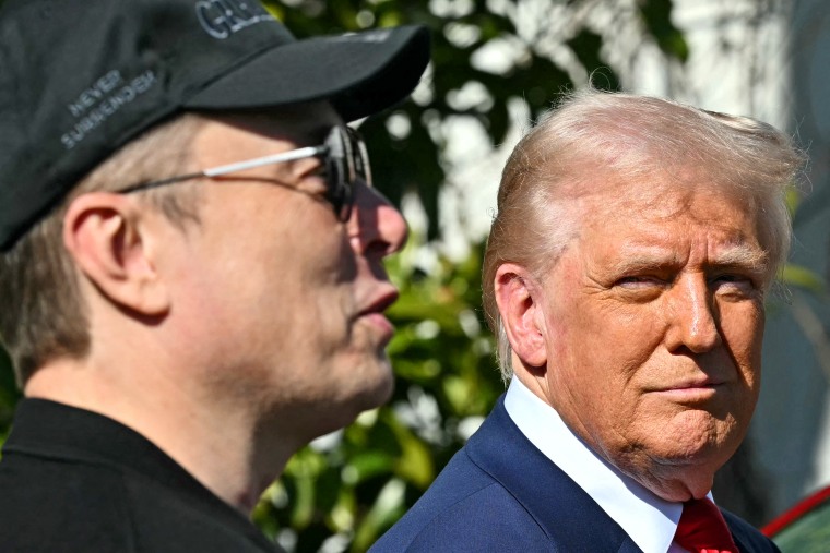 US-POLITICS-TRUMP-TESLA