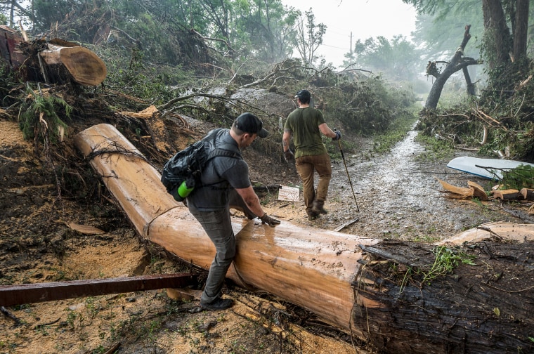 People step over a fallen tree in the forest