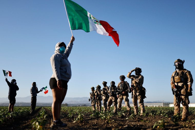 A protester holds a Mexican flag.