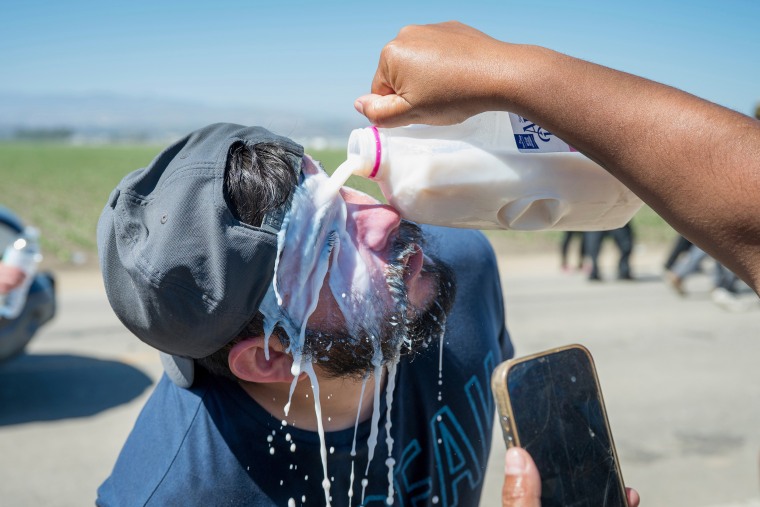 Milk is poured on a protester's face