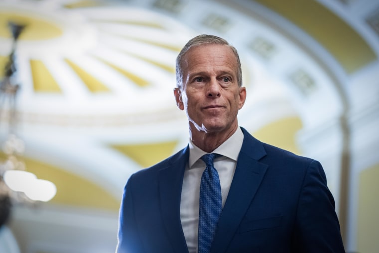 Senate Majority Leader John Thune