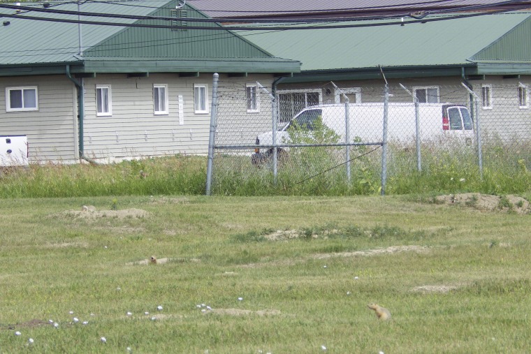 Ground Squirrels-North Dakota