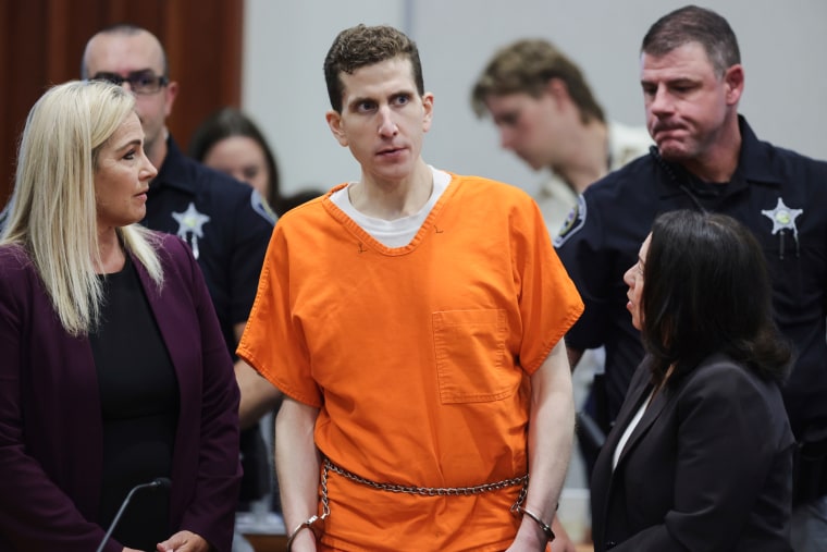 Bryan Kohberger with handcuffs, stands up in court