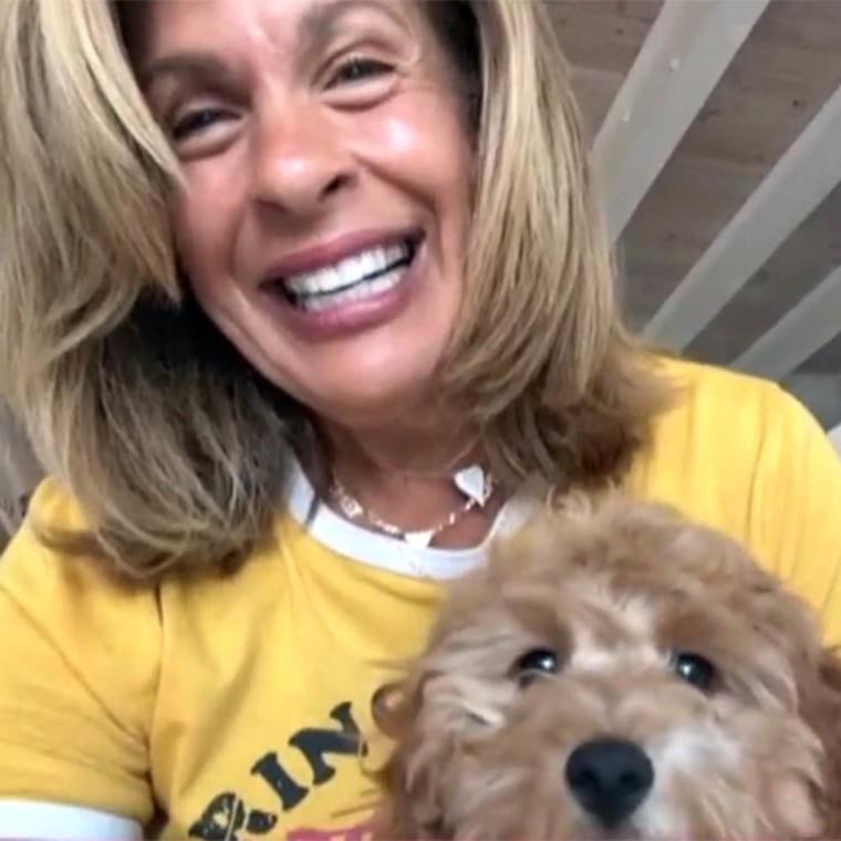 Hoda Kotb FaceTimes in on TODAY Show With Dog Waffles