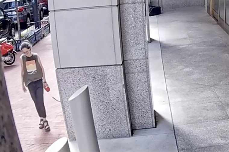 Emily Gabriella Sommer alleged spit spitting attack