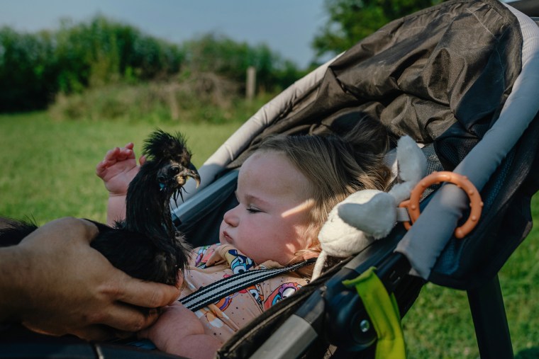 Patrick brings Emmalyn her favorite chicken.