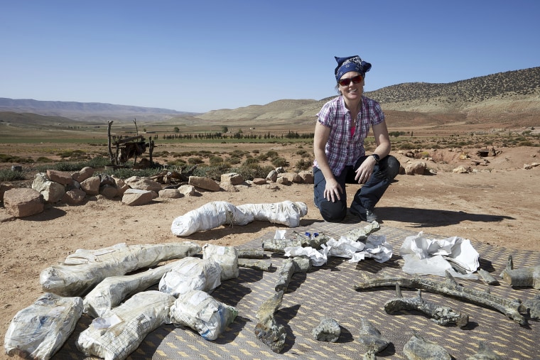 Newly Studied 'Punk' Ankylosaur Is 'World's Strangest Dinosaur'