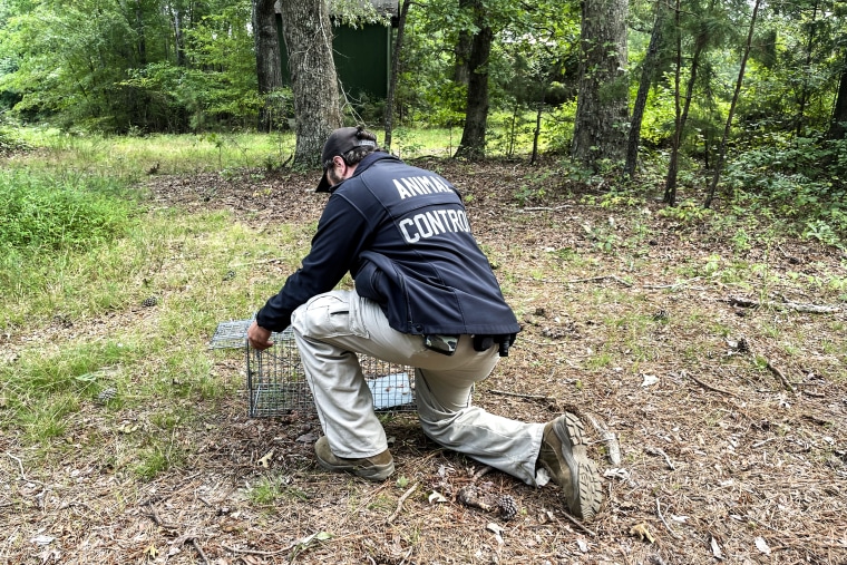 In North Carolina, an animal monitoring group in Franklin County in an area was found raped.
