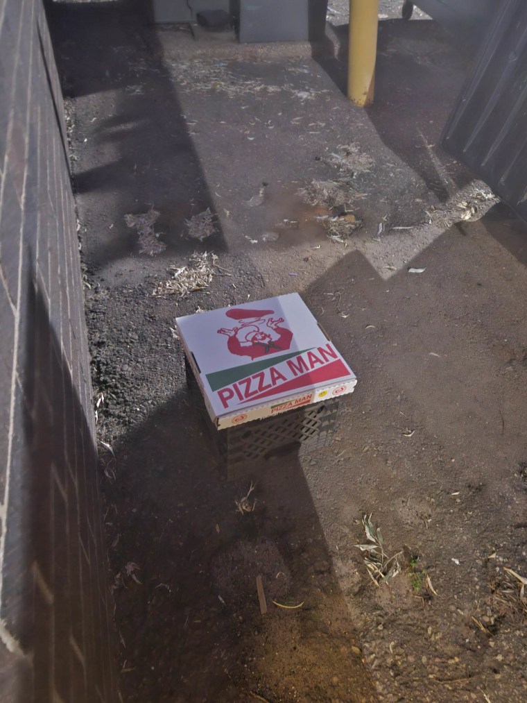 Pizzeria Owner Notices People Eating From Dumpster, Offers Them Free Pizza: 'Nobody Deserves That'