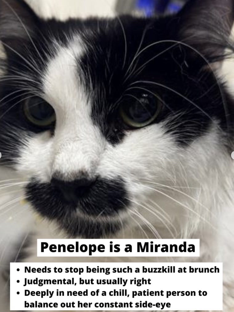 Penelope is such a Miranda.