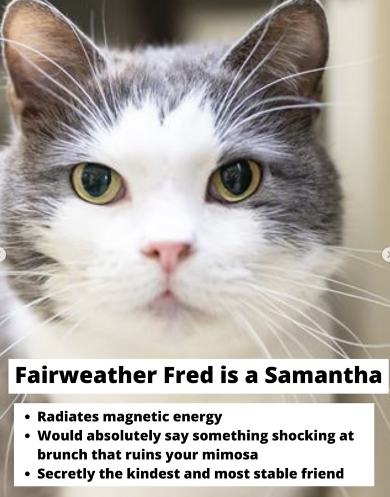 Meet Fairweather Fred.