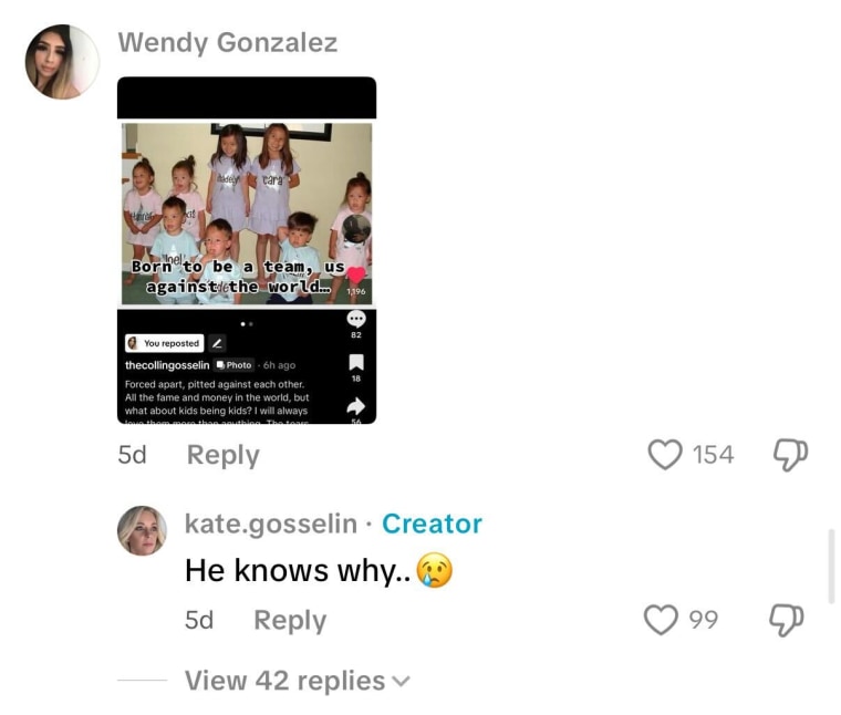 Kate Gosselin's comment