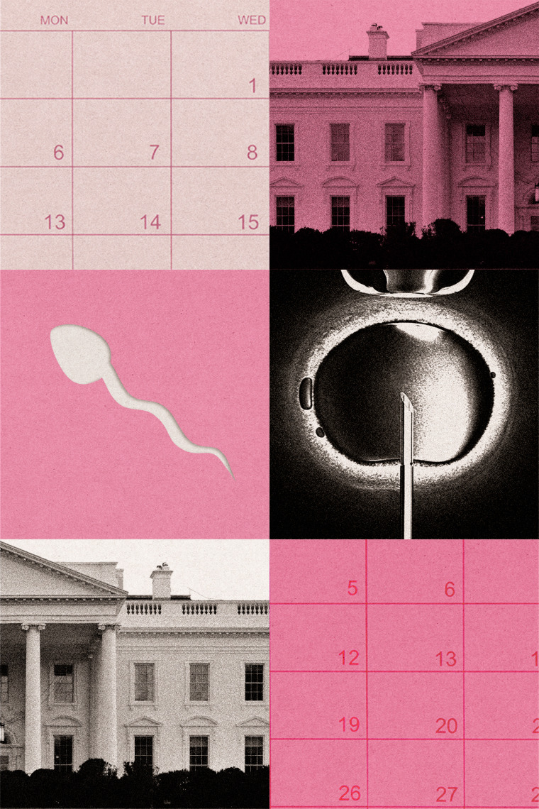 https://media-cldnry.s-nbcnews.com/image/upload/rockcms/2025-08/white-house-ivf-feature-to-f7e8cd.jpg