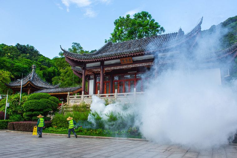 Guangdong take China measures to curb Chiconia fever