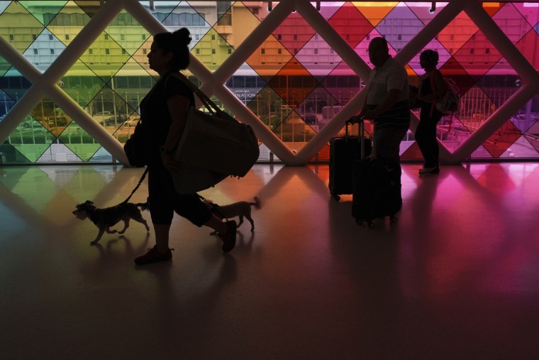 Labor Day Holiday Travel silhouette pet traveler dogs