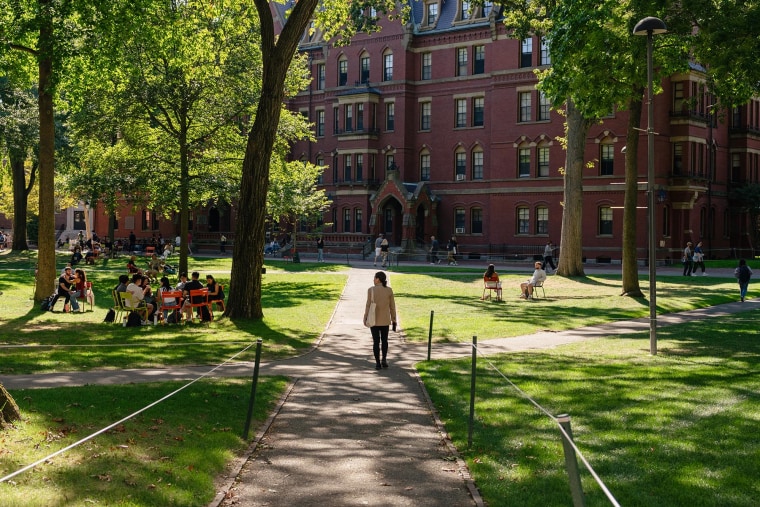Students on the Harvard campus on Sept. 2.