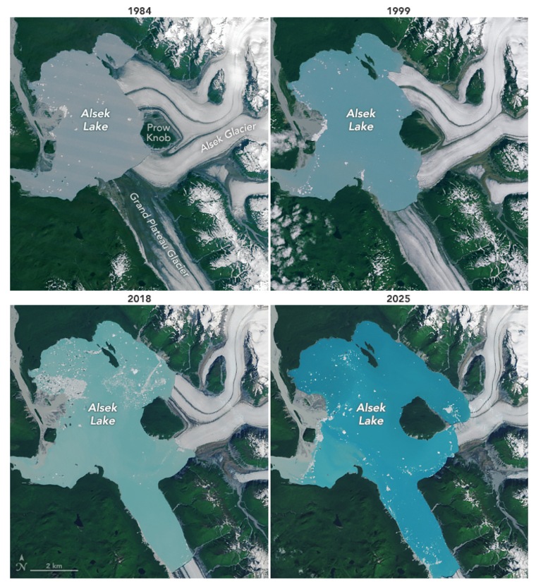 A landmass that was once encased in the ice of the Alsek Glacier is now surrounded by water.