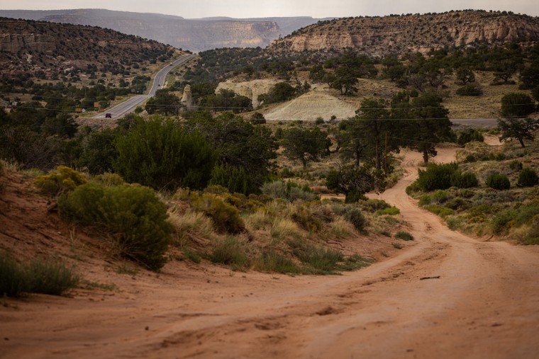A dirt road outside lined with greenery and trees