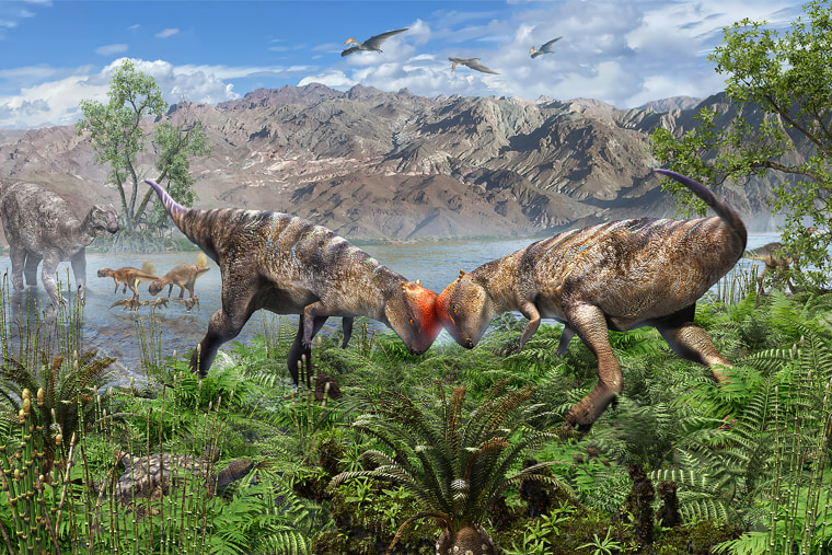 Oldest and maximum entire fossil of a dome-headed dinosaur is located in Mongolia