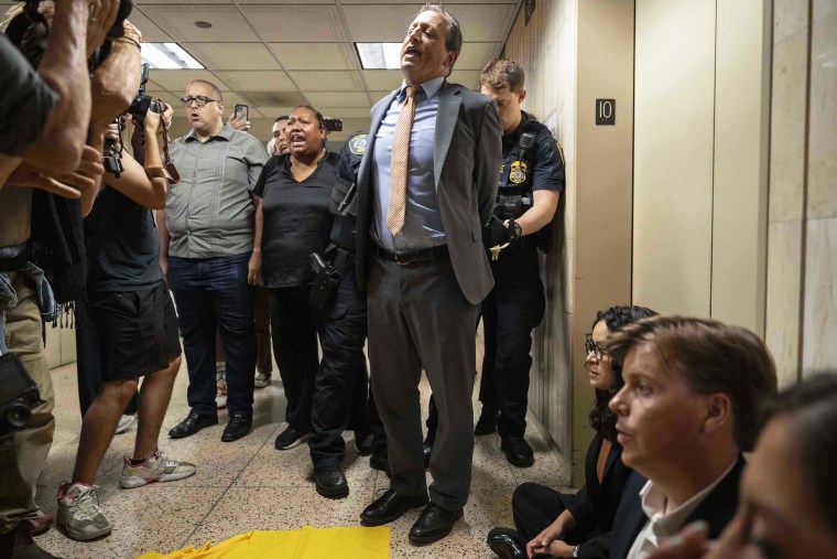 A federal agent detains New York City Comptroller Brad Lander and other elected officials 