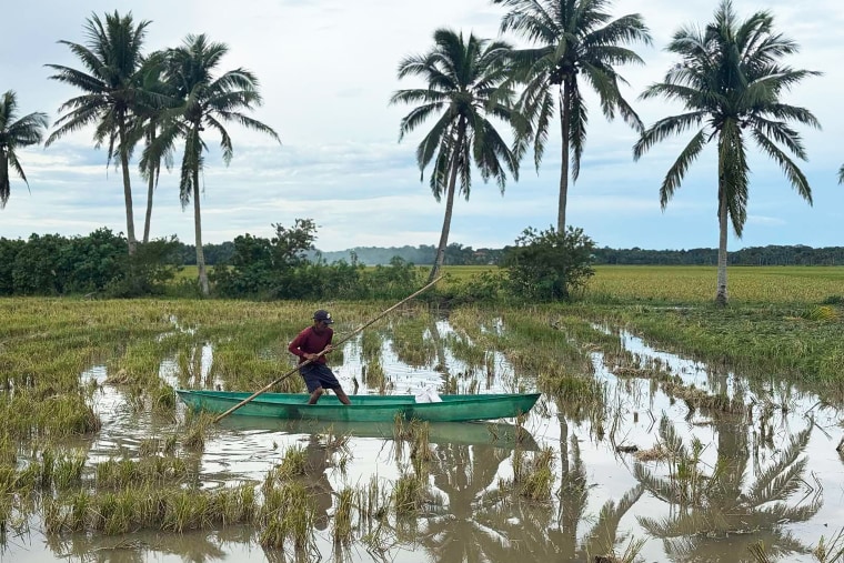 A farmer, riding in a makeshift boat, inspects his flooded rice field.