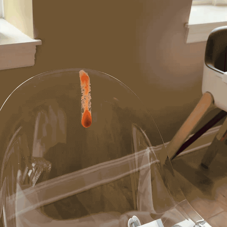 The transparent shell isn’t just for looks; you can see every crumb and wipe it down in seconds.