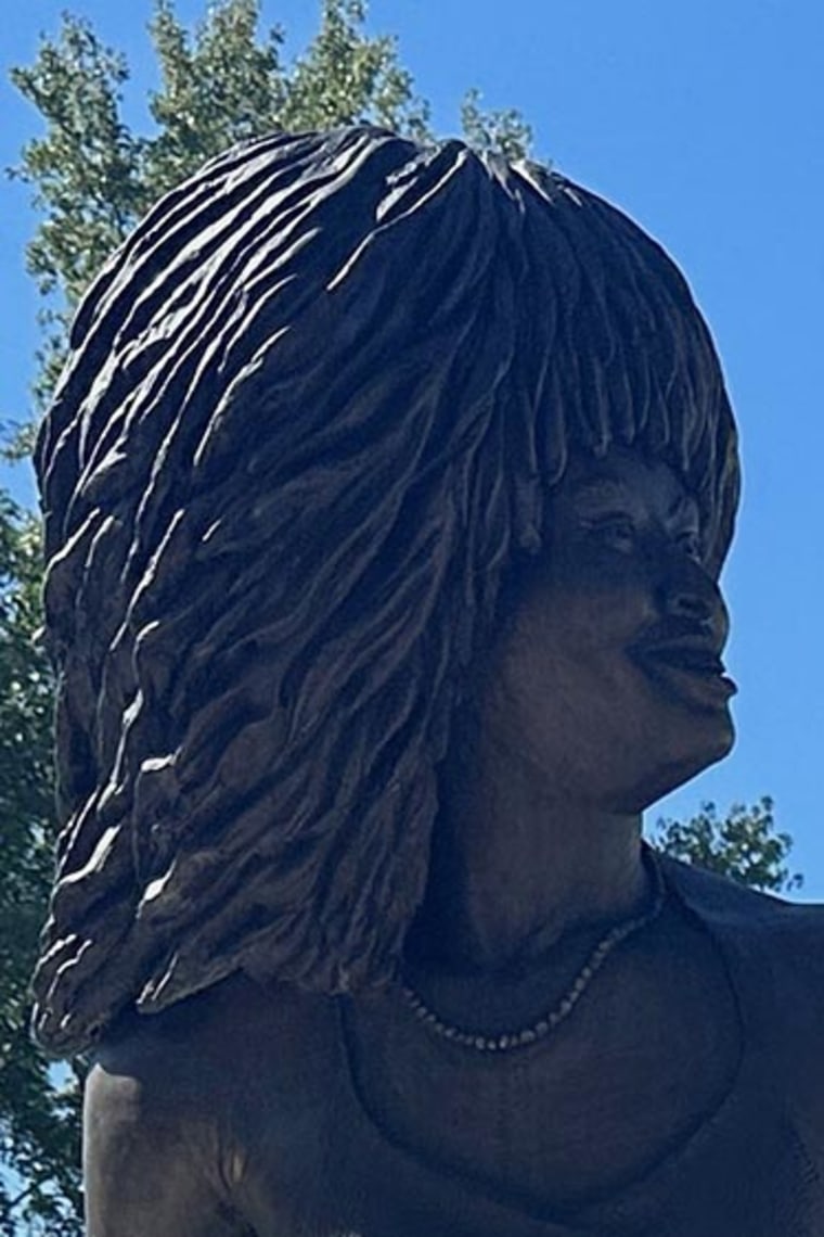 Tina Turner-Stato