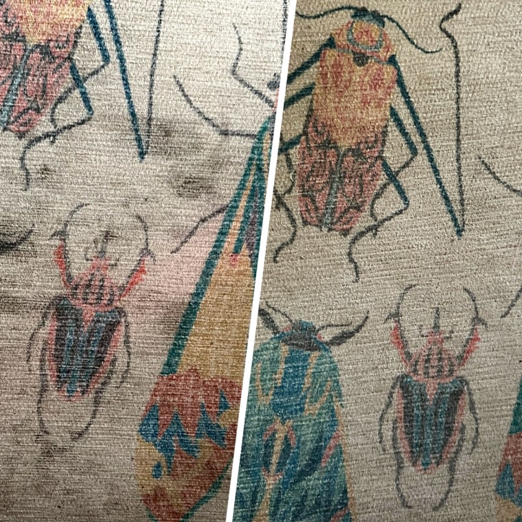 Set-in stains on deputy editorial director Ali Deabler's rug were completely lifted by the Shark StainForce Cordless Portable Spot, Stain, & Odor Remover System.
