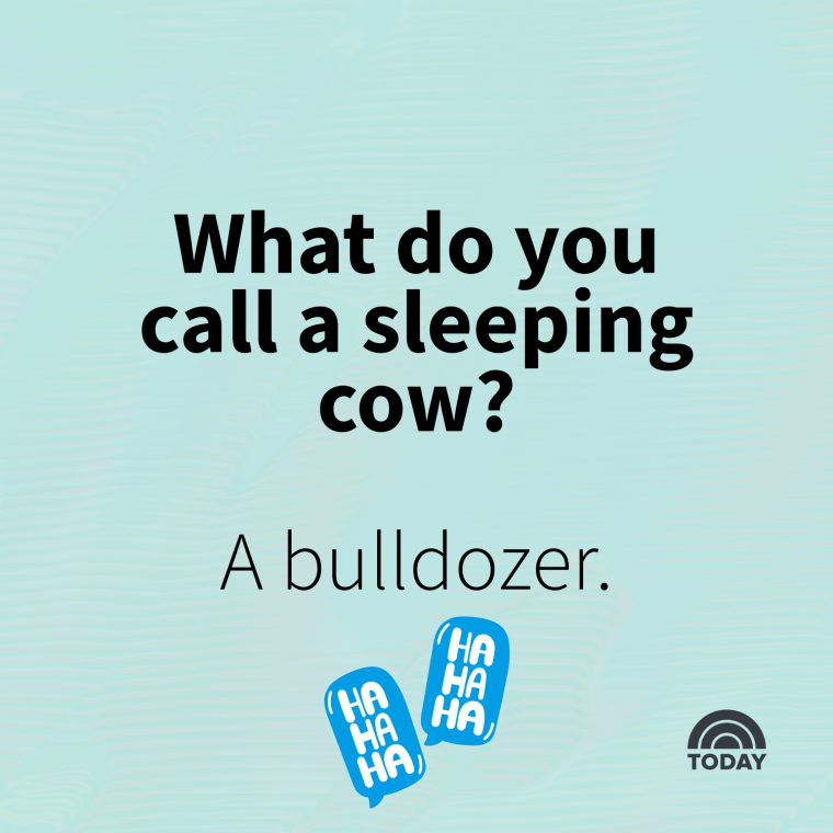 188 Funny Corny Jokes For Kids And Adults 188 Funny Corny Jokes For Kids And Adults