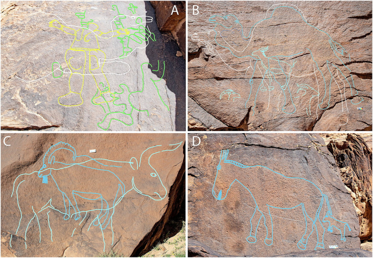 A combination of four photographs shows rock art panels with engravings of animals on sandstone
