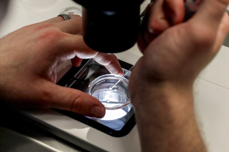IVF petri dish.