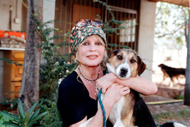 A ativista dos direitos dos animais Brigitte Bardot visitou seu abrigo para cães em Paris em 2001