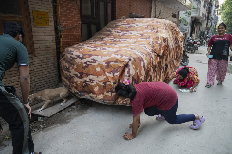 With the help of local feeders, Rahul Malik of Dulari Animal Care Centre administers the vaccine to stray dogs.