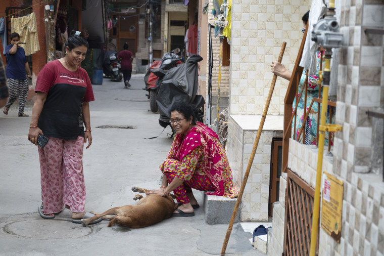 Feeders playing with a stray dog on the streets of Noida, a city that is part of India’s capital region.