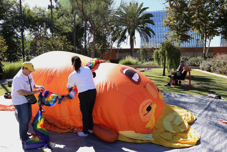 No Kings march, rally, Trump, protest,