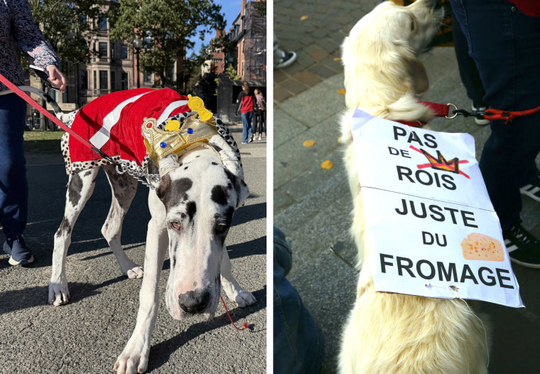 Boston - "No Kings" demonstrations against US President Trump