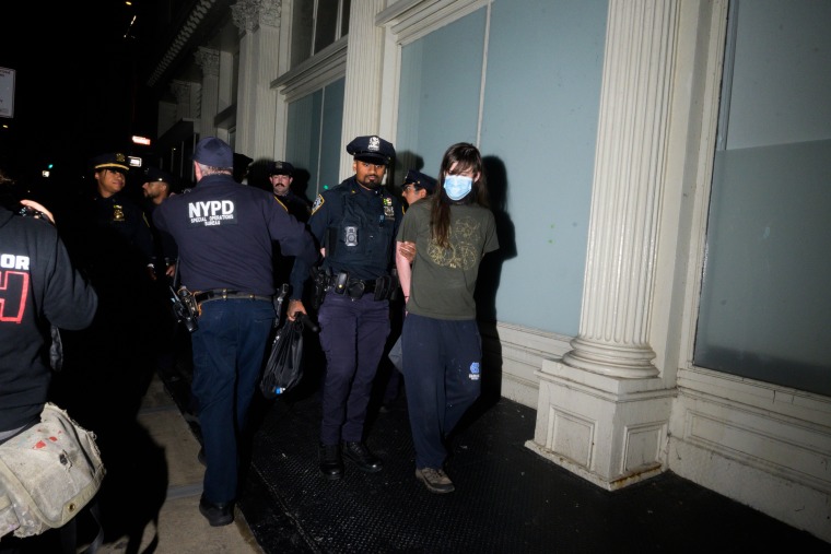 A person is arrested by an officer outside