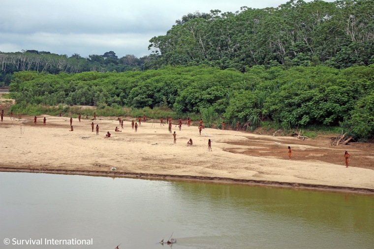 Dozens of Mashco Piro people appeared on a riverbank in Peru in 2024, just a few miles from logging concessions.